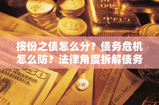 武汉按份之债怎么分？债务危机怎么防？法律角度拆解债务分配与风险自保指南