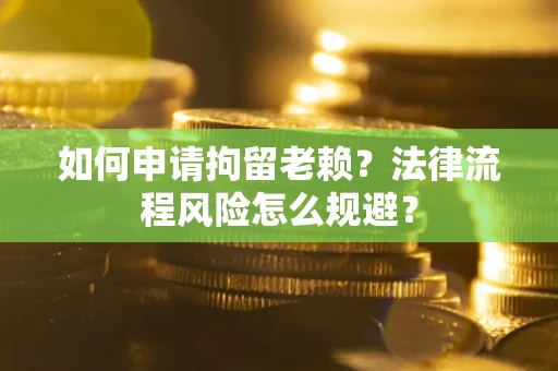 武汉如何申请拘留老赖？法律流程风险怎么规避？
