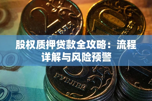 武汉股权质押贷款全攻略：流程详解与风险预警