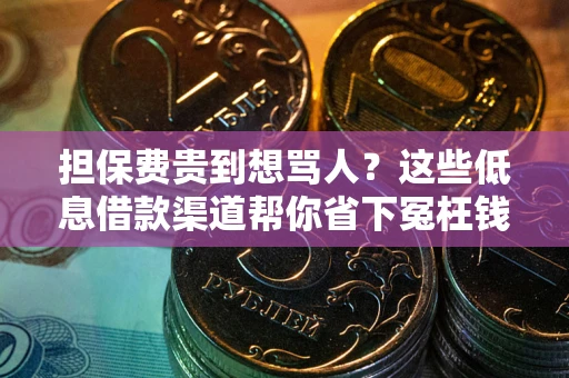 武汉担保费贵到想骂人？这些低息借款渠道帮你省下冤枉钱