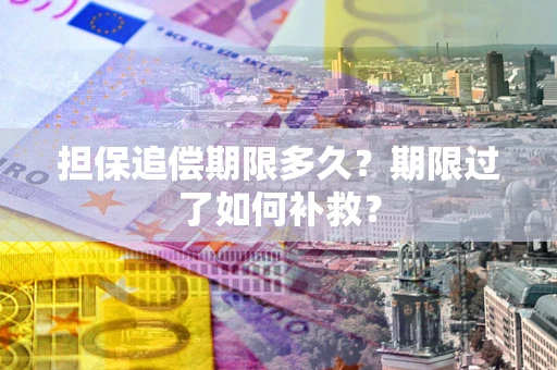 武汉担保追偿期限多久？期限过了如何补救？