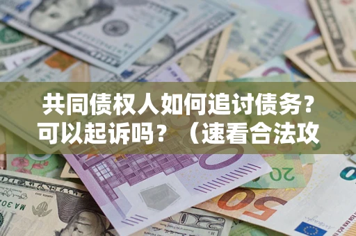 武汉共同债权人如何追讨债务？可以起诉吗？（速看合法攻略）