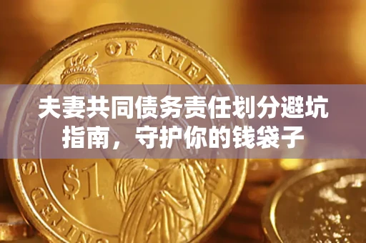 武汉夫妻共同债务责任划分避坑指南，守护你的钱袋子