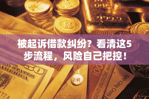 武汉被起诉借款纠纷？看清这5步流程，风险自己把控！