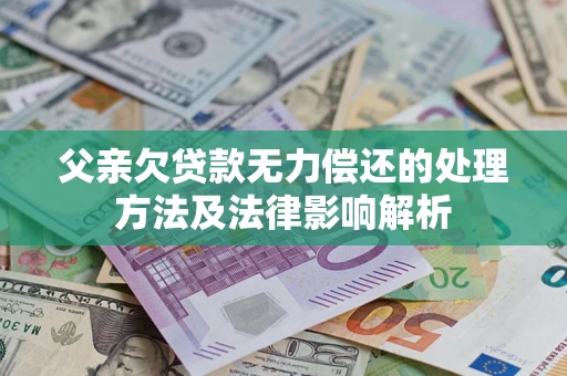 武汉父亲欠贷款无力偿还的处理方法及法律影响解析