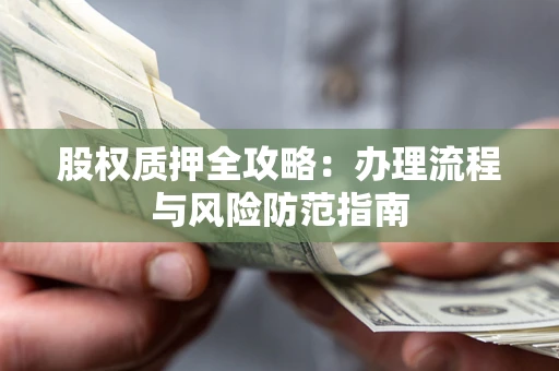 武汉股权质押全攻略：办理流程与风险防范指南