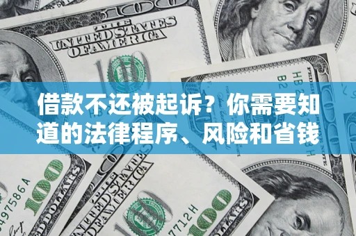 武汉借款不还被起诉？你需要知道的法律程序、风险和省钱技巧