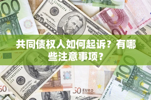 武汉共同债权人如何起诉？有哪些注意事项？